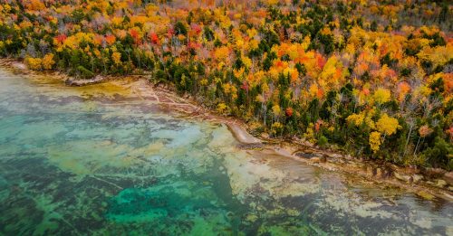Aerial view of a vibrant forest with autumn foliage beside a clear, turquoise shoreline.