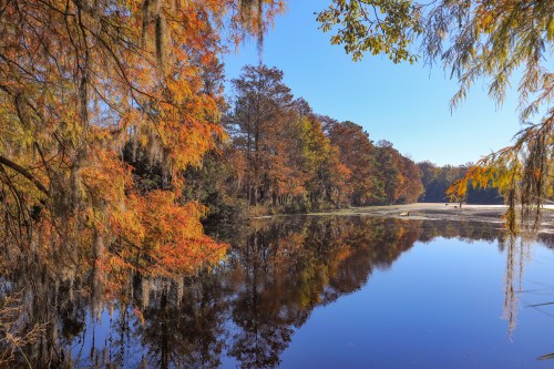 A serene lake surrounded by trees with vibrant autumn foliage reflecting in the calm water under a clear blue sky.