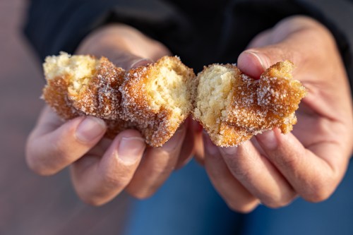A person holds a freshly baked, sugar-coated donut, breaking it apart to reveal its soft, fluffy interior.