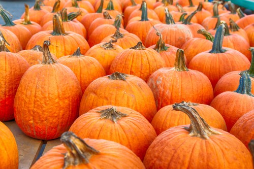 A vibrant display of orange pumpkins arranged closely together on a wooden surface.
