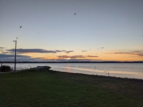 A serene sunset over a calm body of water, with birds flying and a grassy shore in the foreground.