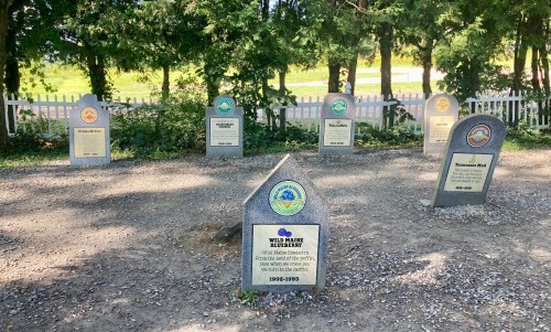A memorial site with several stone markers, each honoring different individuals, surrounded by trees and a white fence.