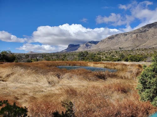 A serene landscape featuring a pond surrounded by dry grass and mountains under a partly cloudy sky.