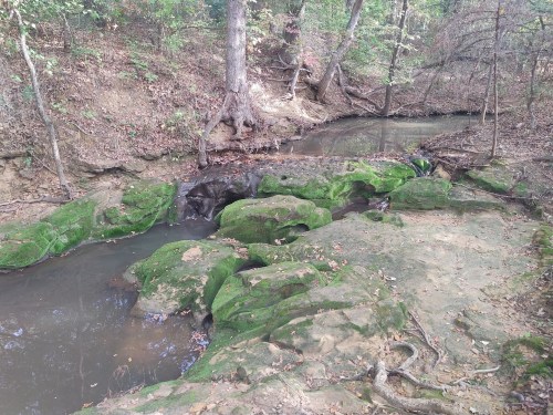 A serene creek flows through a wooded area, with moss-covered rocks lining the banks and trees in the background.