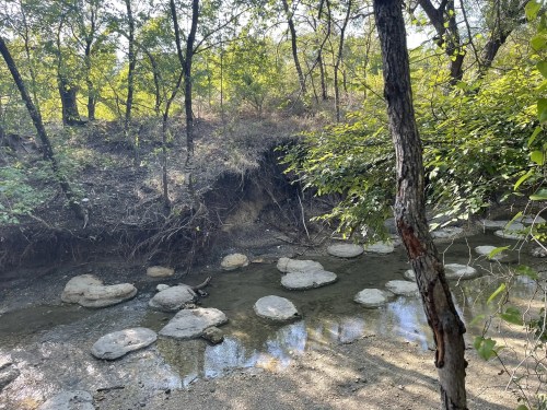 A serene creek flows through a wooded area, with smooth stones scattered along the water's edge and sunlight filtering through trees.