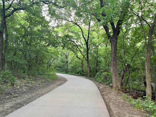 A winding path through a lush green forest, surrounded by tall trees and dense foliage.