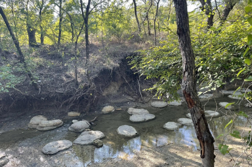 A serene creek surrounded by trees, with smooth stones visible in the shallow water and a sunlit forest backdrop.
