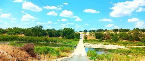 A serene landscape featuring a dirt road bordered by greenery and a calm waterway under a bright blue sky with fluffy clouds.