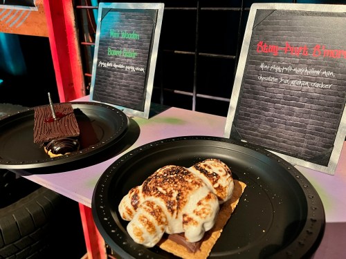 Two dessert plates: a chocolate cake with a wood-like design and a s'more with toasted marshmallow on a graham cracker.
