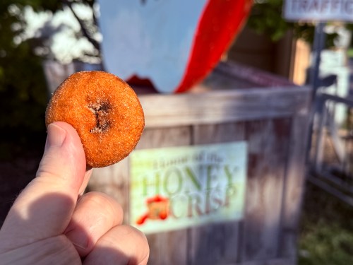 A hand holds a small, sugared donut in front of a wooden sign for Honey Crisp apples.
