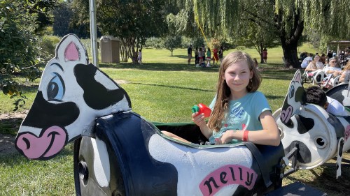 A girl sits in a cow-themed ride, holding a toy, with a grassy park and people in the background.