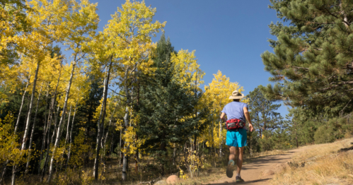 A person runs along a dirt trail surrounded by vibrant yellow and green trees under a clear blue sky.