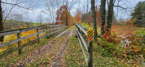 A wooden bridge surrounded by autumn foliage and trees, with fallen leaves on the path.