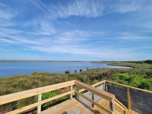 Scenic view of a calm waterway surrounded by lush greenery and a clear blue sky from a wooden observation deck.