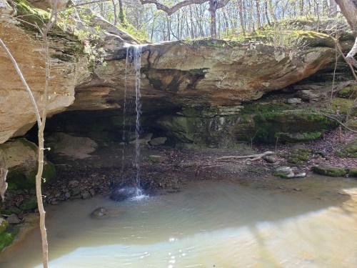 A serene scene of a small waterfall cascading over rocks into a calm pool, surrounded by lush greenery and trees.