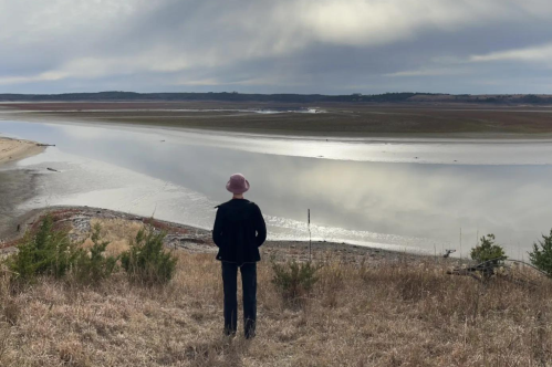 A person stands on a grassy hill overlooking a calm, reflective body of water and a vast, open landscape.