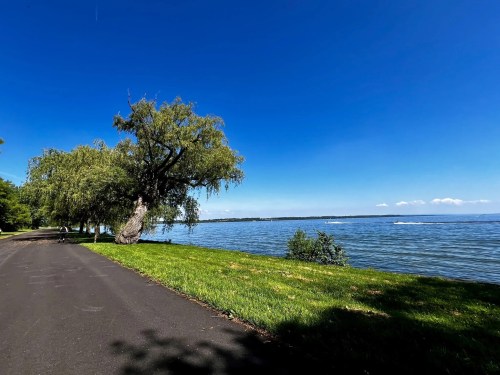 A scenic view of a lake with a tree along a paved path under a clear blue sky.