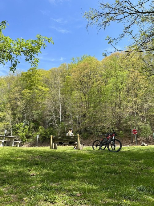 A peaceful park scene with a person sitting on a bench, surrounded by green trees and two bicycles nearby.