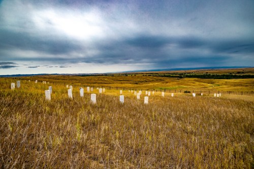 A wide view of a grassy field with white gravestones scattered throughout, under a cloudy sky.