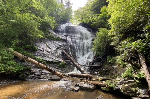 A serene waterfall cascades down rocky cliffs, surrounded by lush green trees and fallen logs in a tranquil forest setting.