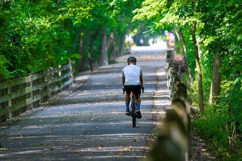 A cyclist rides along a tree-lined path, surrounded by greenery and dappled sunlight.