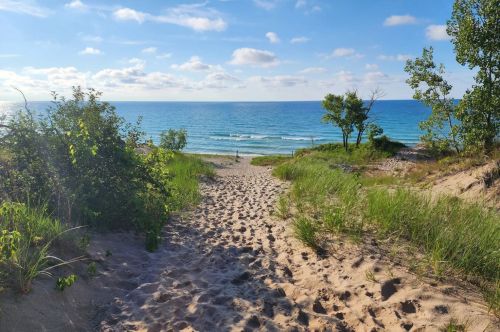 A sandy path leads to a tranquil beach with gentle waves and greenery under a blue sky.
