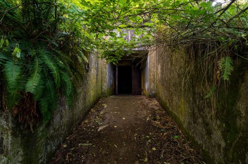 A narrow, overgrown path leads to a dark entrance, surrounded by lush greenery and weathered concrete walls.