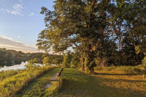 A serene lakeside scene at sunset, featuring a wooden bench beside a tree and lush greenery.