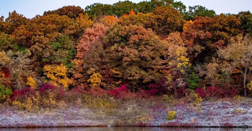 Vibrant autumn foliage reflects in a calm lake, showcasing shades of orange, red, and yellow against a serene backdrop.