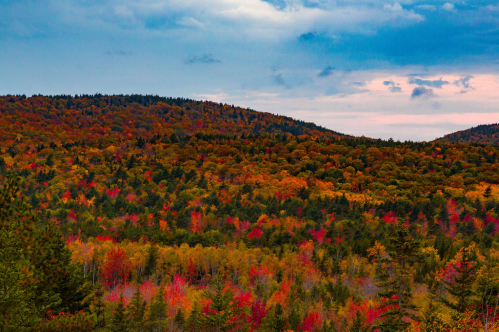 Vibrant autumn landscape with rolling hills covered in colorful foliage under a cloudy sky.