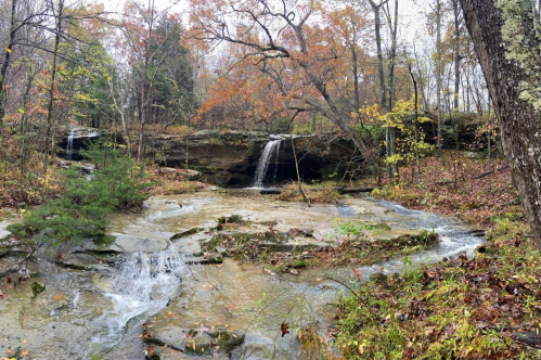 A serene forest scene featuring a small waterfall cascading over rocks, surrounded by autumn foliage and a tranquil stream.