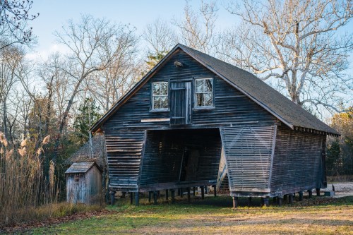 A weathered wooden building on stilts, surrounded by bare trees and tall grass under a clear blue sky.
