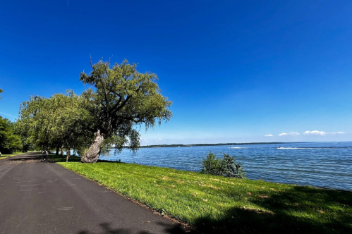 A serene lakeside path lined with trees under a clear blue sky, with gentle waves lapping at the shore.
