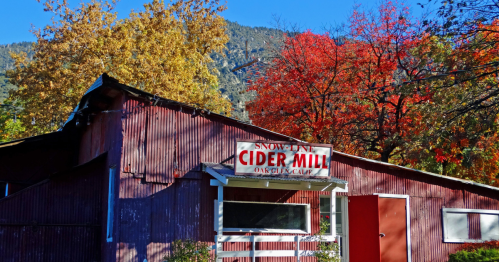 A cider mill in Oak Glen, California, is surrounded by trees with vibrant yellow and red leaves.