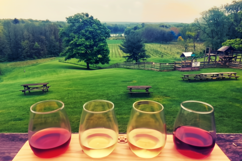 A scenic view of a vineyard with four wine glasses in the foreground, overlooking lush green fields and trees.