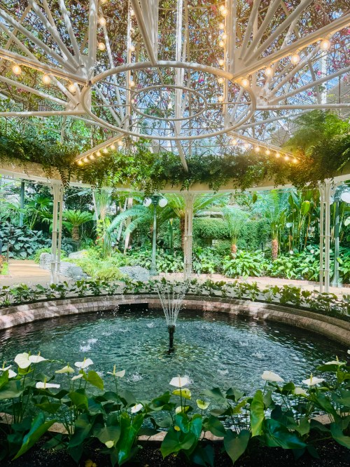 A serene garden with a circular fountain surrounded by lush greenery and decorative lights overhead.