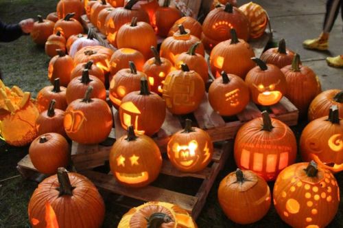 A display of intricately carved pumpkins glowing in the dark, showcasing various fun and spooky designs.