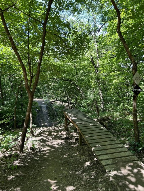 A wooden bridge over a dirt path in a lush green forest, surrounded by trees and a trail sign indicating "Expert."