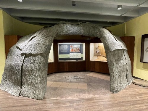 A textured archway resembling tree bark, leading to display cases in a museum exhibit.