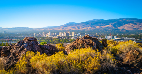 A view of the Reno, Nevada, skyline surrounded by fall foliage.