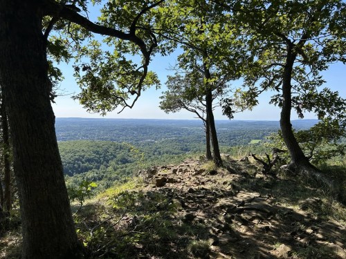 A scenic view from a hilltop, framed by trees, overlooking a lush green valley and distant hills under a clear blue sky.