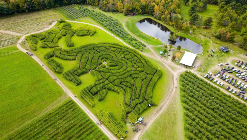 Aerial view of a large, intricate maze shaped like a horse, surrounded by fields and a pond.