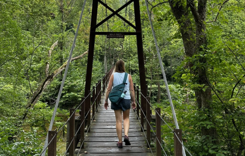 A person walks across a wooden suspension bridge surrounded by lush green trees and foliage.