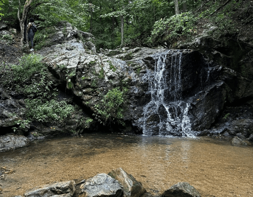 A serene waterfall cascades over rocks into a clear pool, surrounded by lush greenery and a person standing nearby.