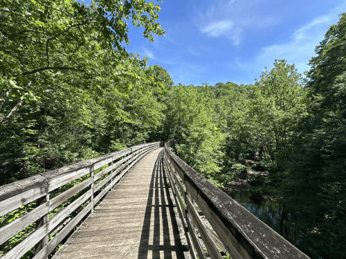 A wooden bridge curves through a lush green forest under a clear blue sky.