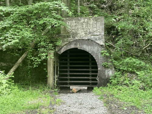 Entrance to an old mine, partially covered in greenery, with a weathered sign above and wooden slats in the opening.