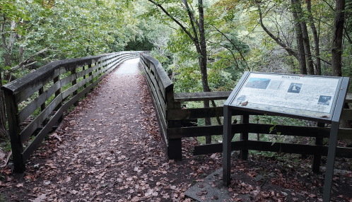 A wooden bridge leads through a forest, with a sign displaying information nearby, surrounded by fallen leaves.
