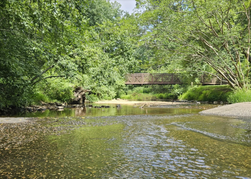 A serene river scene with a wooden bridge surrounded by lush greenery and trees under a clear sky.