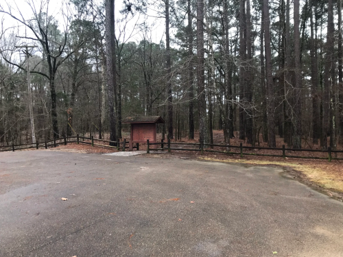 A quiet, wooded area with tall trees, a gravel path, and a small shelter in the background.