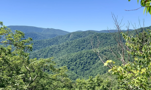 Lush green mountains under a clear blue sky, showcasing a scenic view of rolling hills and dense foliage.